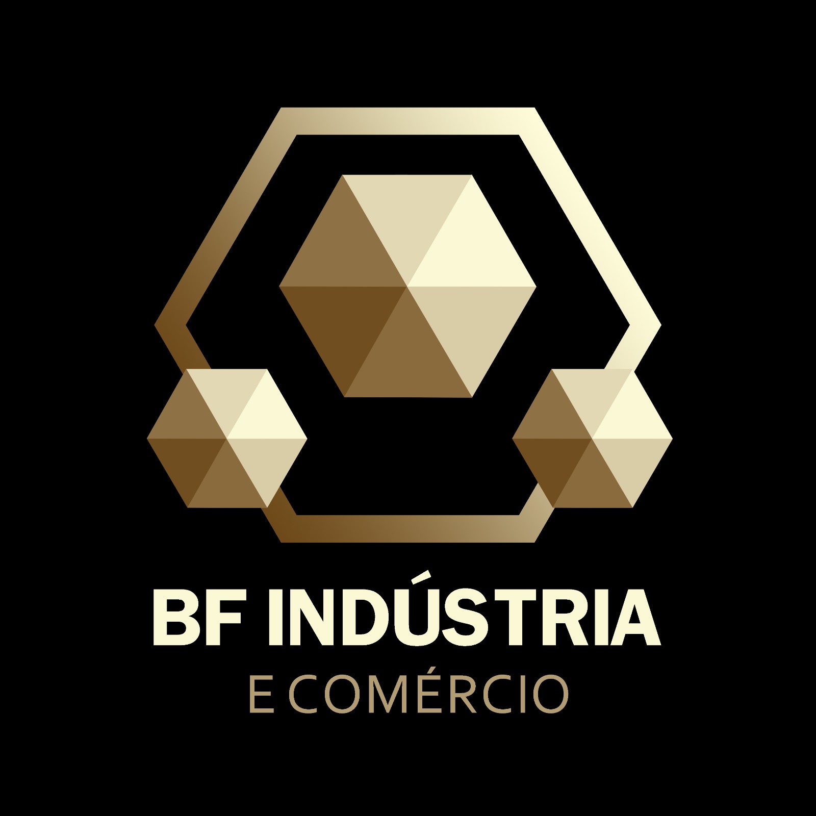 BF Industria e Comérico